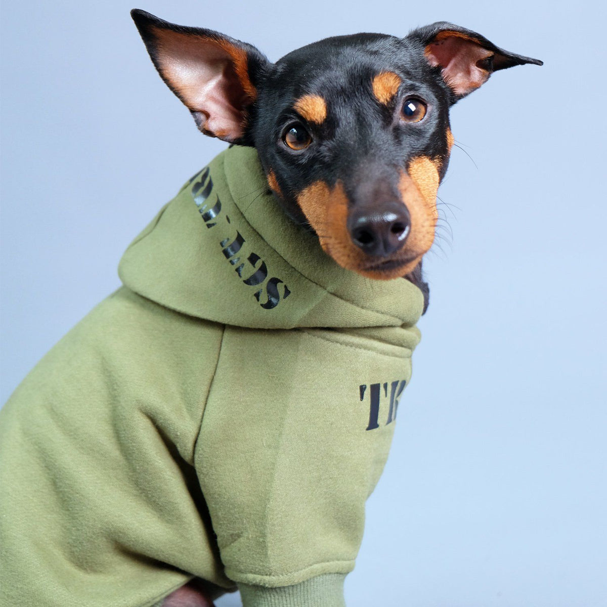 personalised dog hoodie, army dog hoodie, dog hoodie australia, green dog hoodie