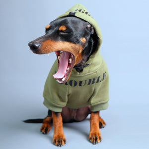 personalised dog hoodie, army dog hoodie, dog hoodie australia, green dog hoodie