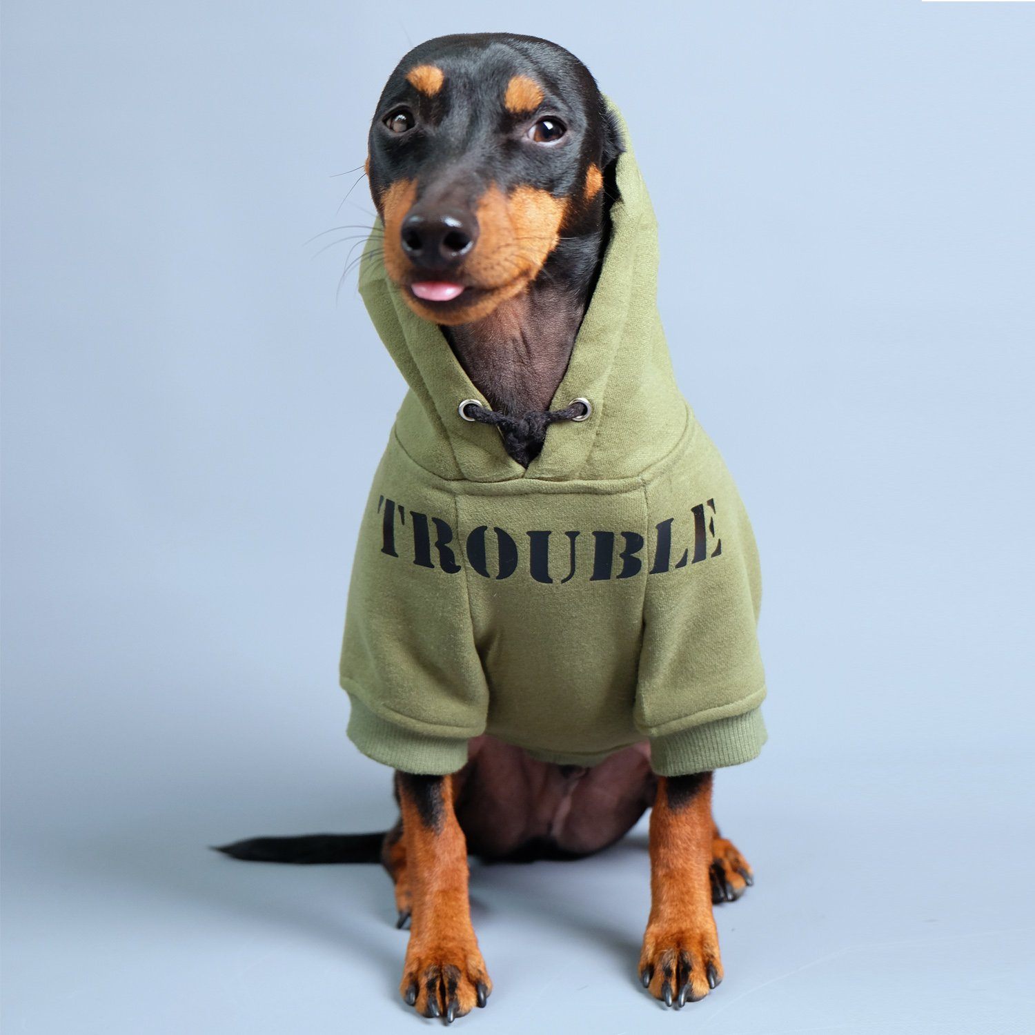 Hard Corps Dog Hoodie Personalised dog hoodie Green dog hoodie PetHaus