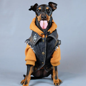 Denim dog vest with dog hoodie by Pethaus Australia