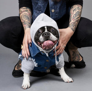 Denim dog vest and dog hoodies, dog streetwear by Pethaus Australia