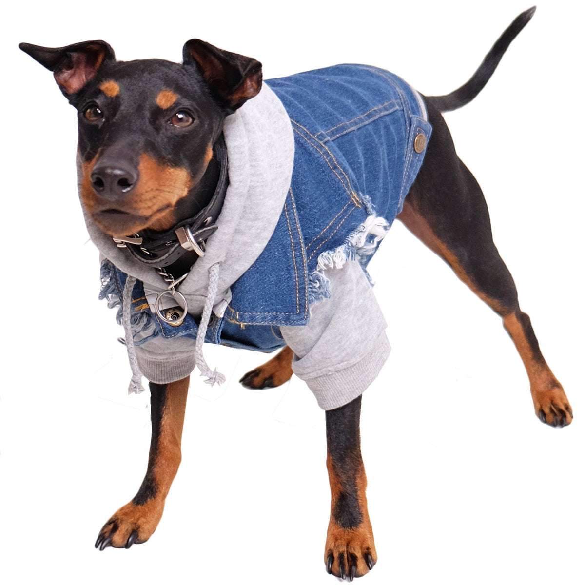 Denim dog jacket, denim dog vest, dog hoodie, pethaus