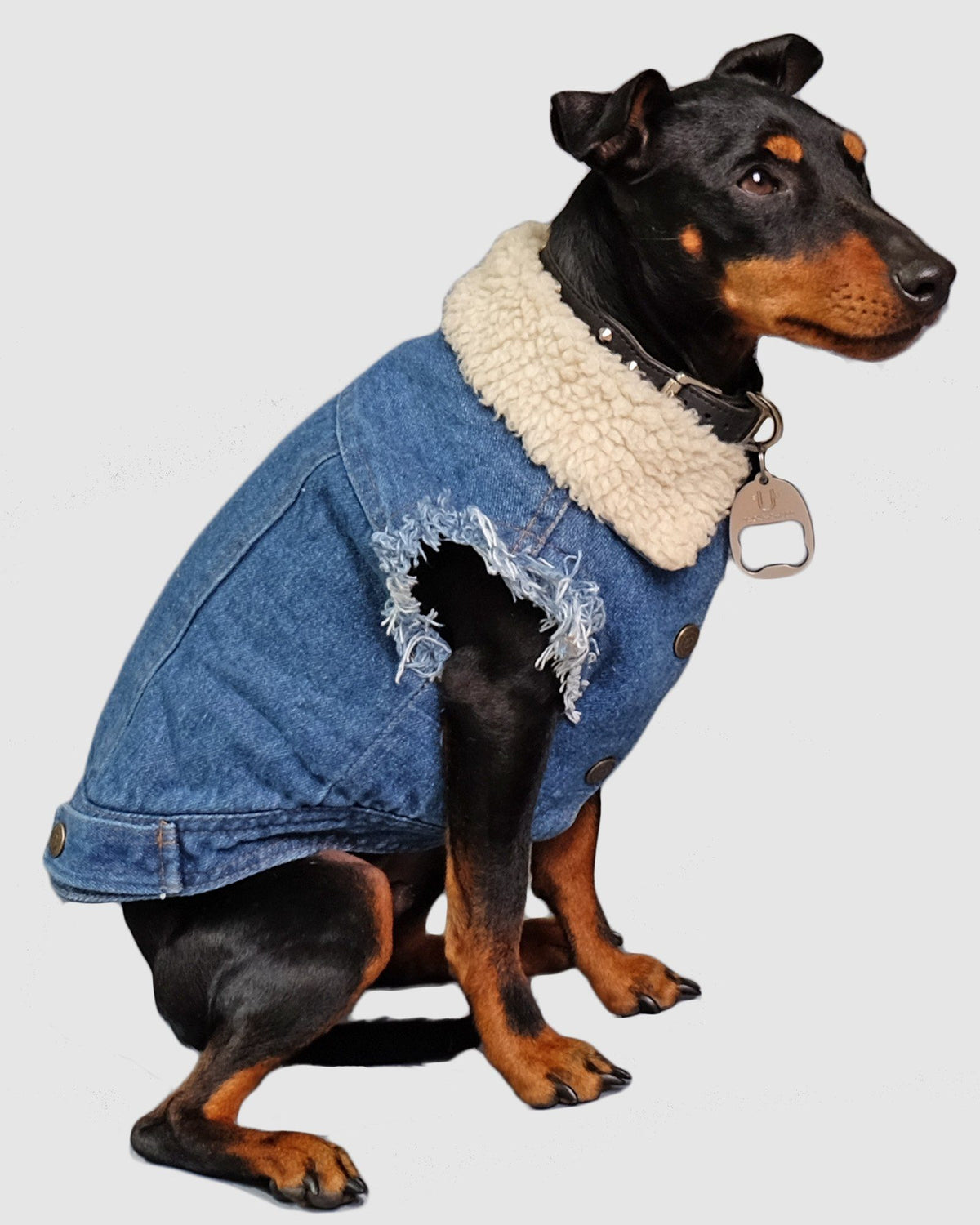 denim dog vest, denim dog jacket, dog gift, dog hoodie, pethaus