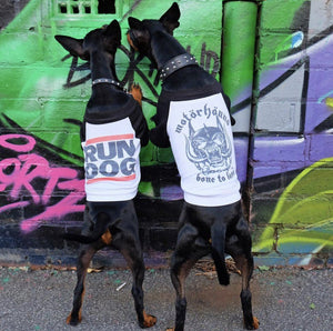 Motorhound dog tee, heavy metal dog tee, raglan dog tee, band tee for dog, motorhound, Pethaus