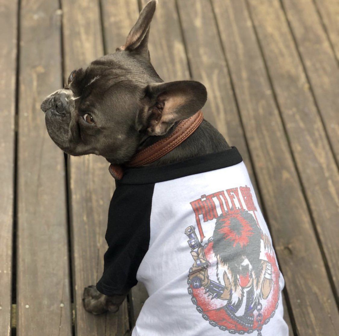 Muttley Crew Raglan Dog Tee