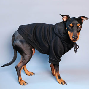 black dog hoodie, Pethaus dog hoodie, cool dog hoodie, australian dog hoodie, designer dog hoodie, dog coat