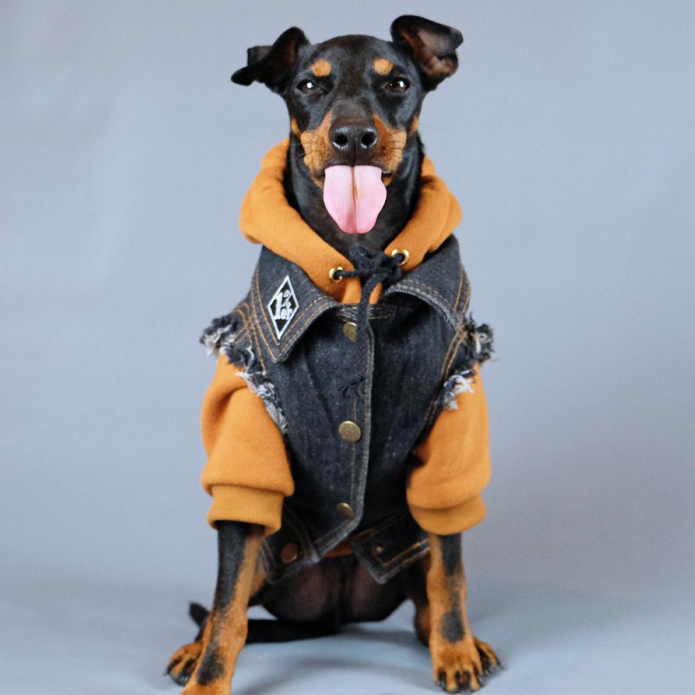 Battle jacket for dog, denim dog vest, denim dog jacket, dog denim, dog coat