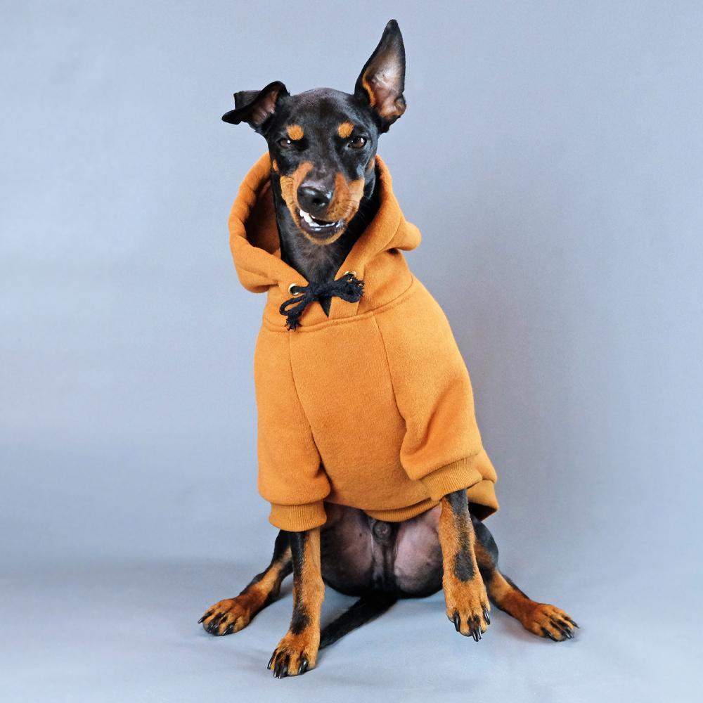 Tan dog hoodie, dog hoodie, brown dog hoodie, Carhartt , Pethaus, orange dog hoodie, dog sweatshirt, dog coat
