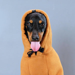 Dog Hoodie, Pethaus dog hoodie, brown dog hoodie, dog sweatshirt, tan dog hoodie, tan dog sweatshirt, Hoodie for dog, English Toy terrier, Toy manchester terrier
