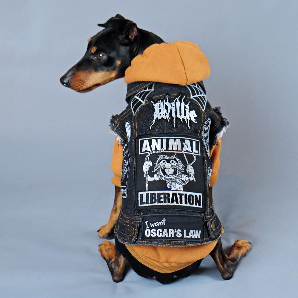 Battle jacket for dog, denim dog vest, denim dog jacket, dog denim, dog coat