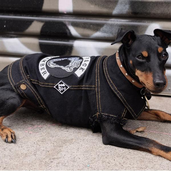 Pack Member Denim Dog Jacket PetHaus