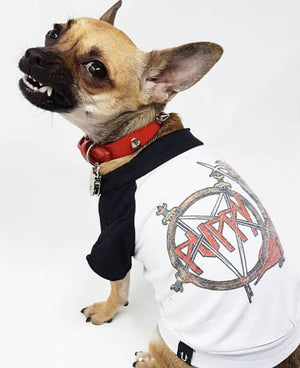 Slayer dog tee by Pethaus, Heavy Metal Dog, Metal Dog, Dog Tee