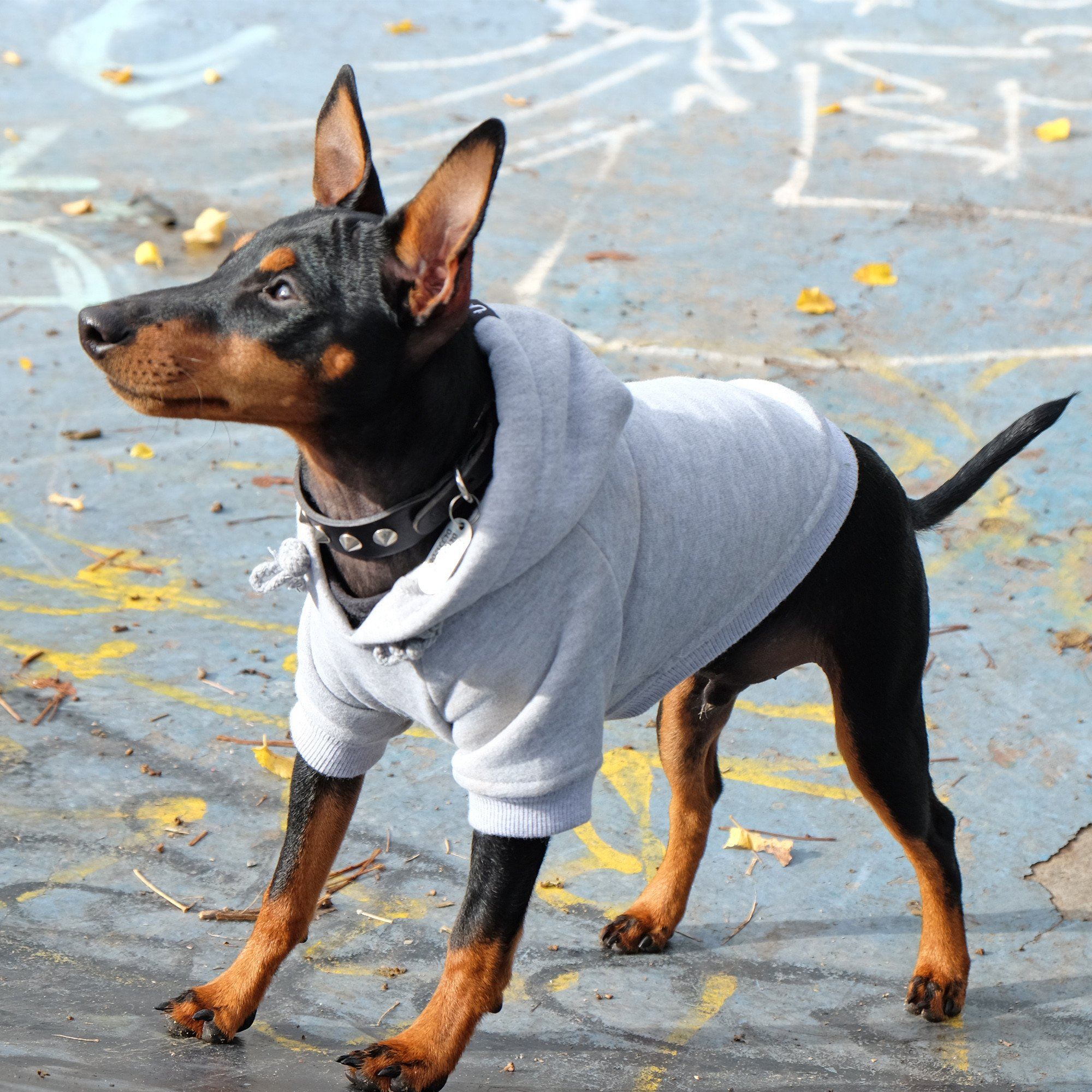 grey dog hoodie by pethaus, grey dog hoodie, dog sweatshirt, large dog hoodie, australian dog hoodie, Pethaus