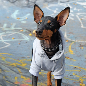 grey dog hoodie by pethaus, grey dog hoodie by pethaus, grey dog hoodie, dog sweatshirt, large dog hoodie, australian dog hoodie, Pethaus