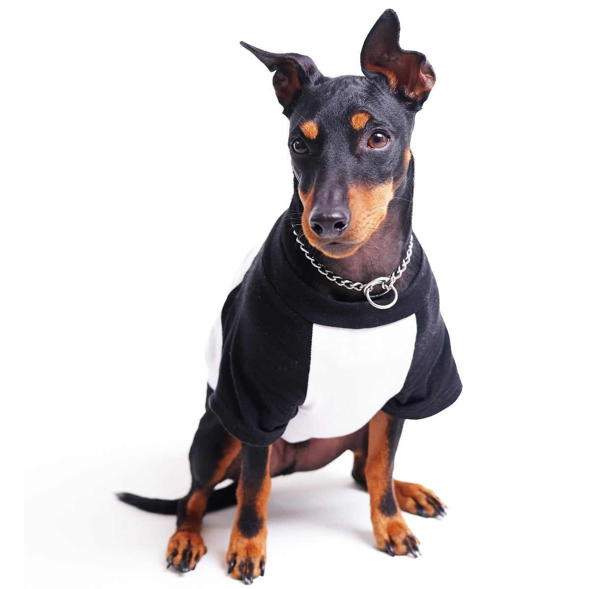 Raglan Dog Tee by Pethaus