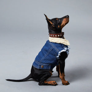 Denim dog vest, denim dog jacket Pethaus, sherpa denim dog vest, dog gift, dog coat australia, dog jacket