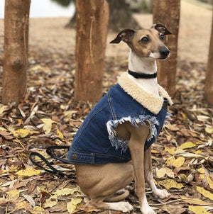 denim dog vest, denim dog jacket, sherpa denim dog vest