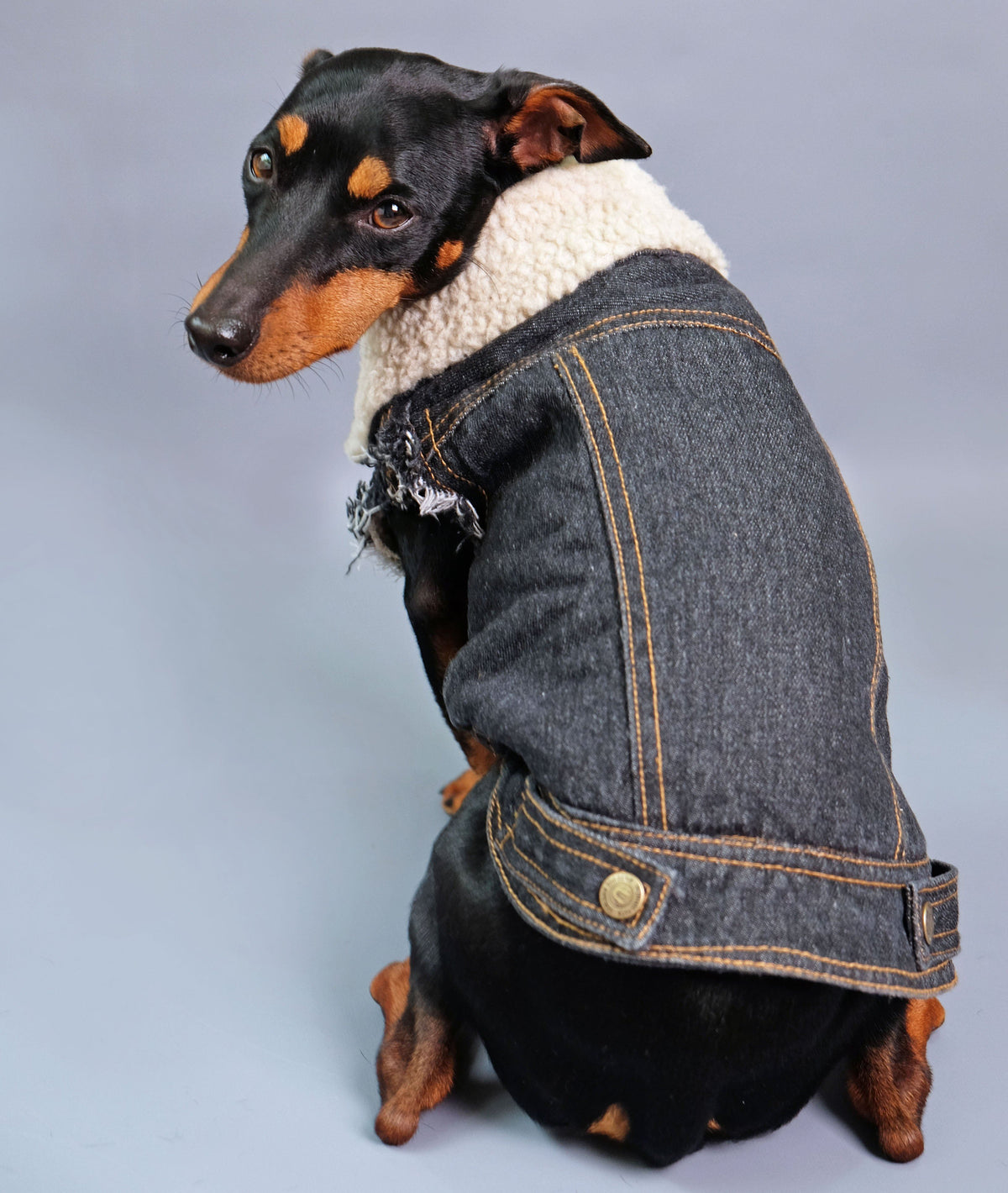 Denim Dog Vest Sherpa Fleece by Pethaus PetHaus