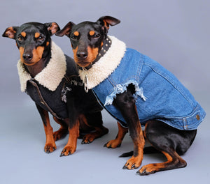 denim dog vest, denim dog jacket, sherpa denim dog vest, pethaus, dog denim, dog gift, black denim dog jacket, dog coat, black dog coat, dog jacket australia