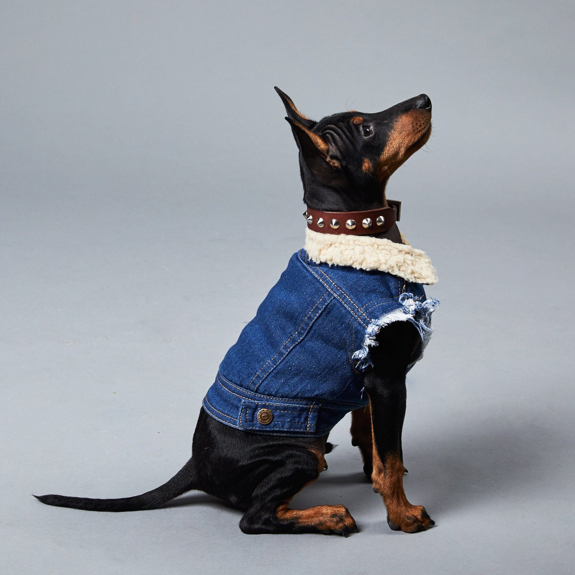 Sherpa Lined Denim Dog Vest