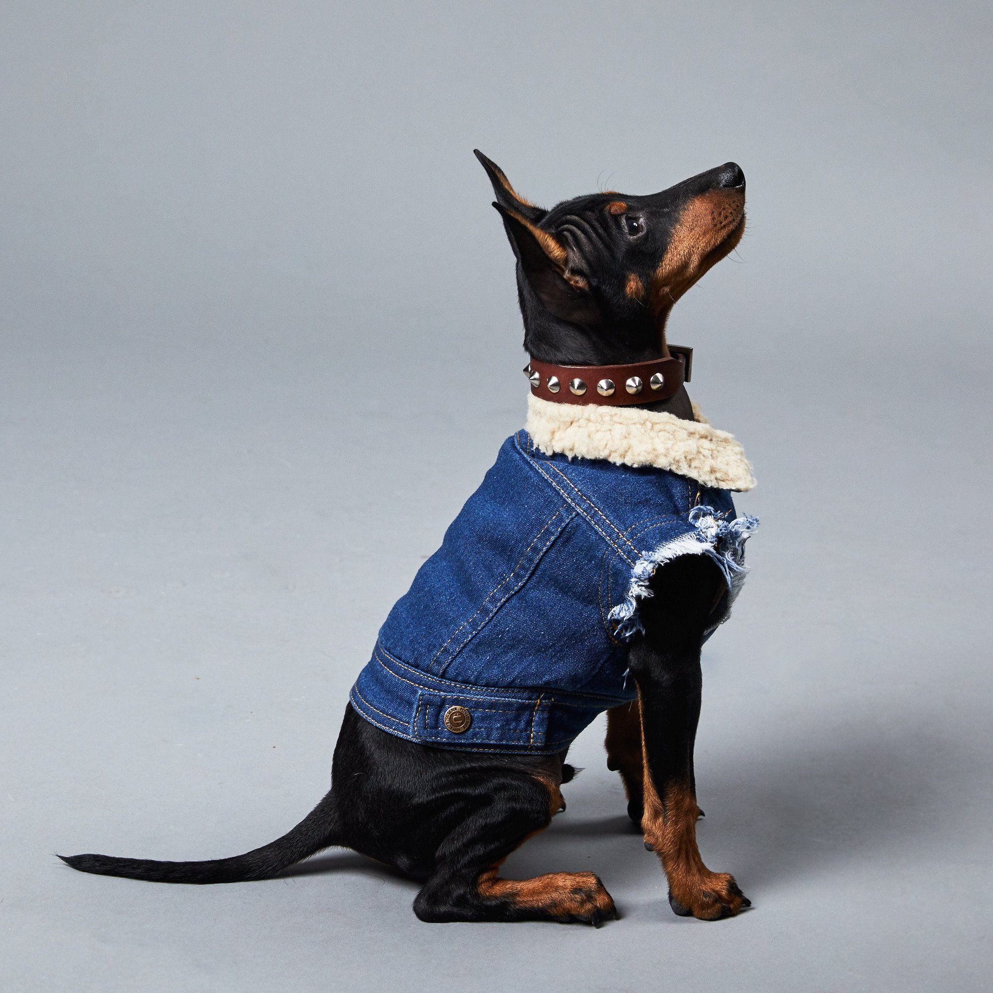 sherpa lined denim dog vest