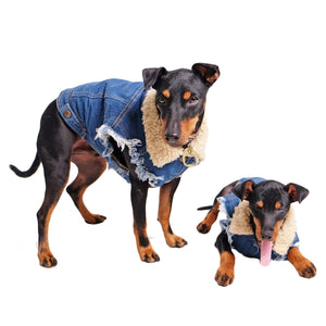 sherpa lined denim dog jacket