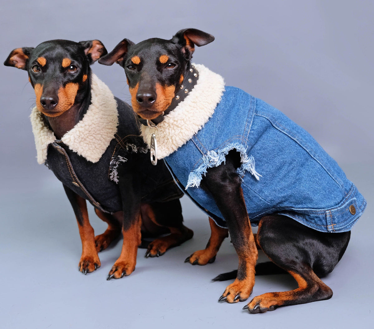 Sherpa Lined Denim Dog Vest