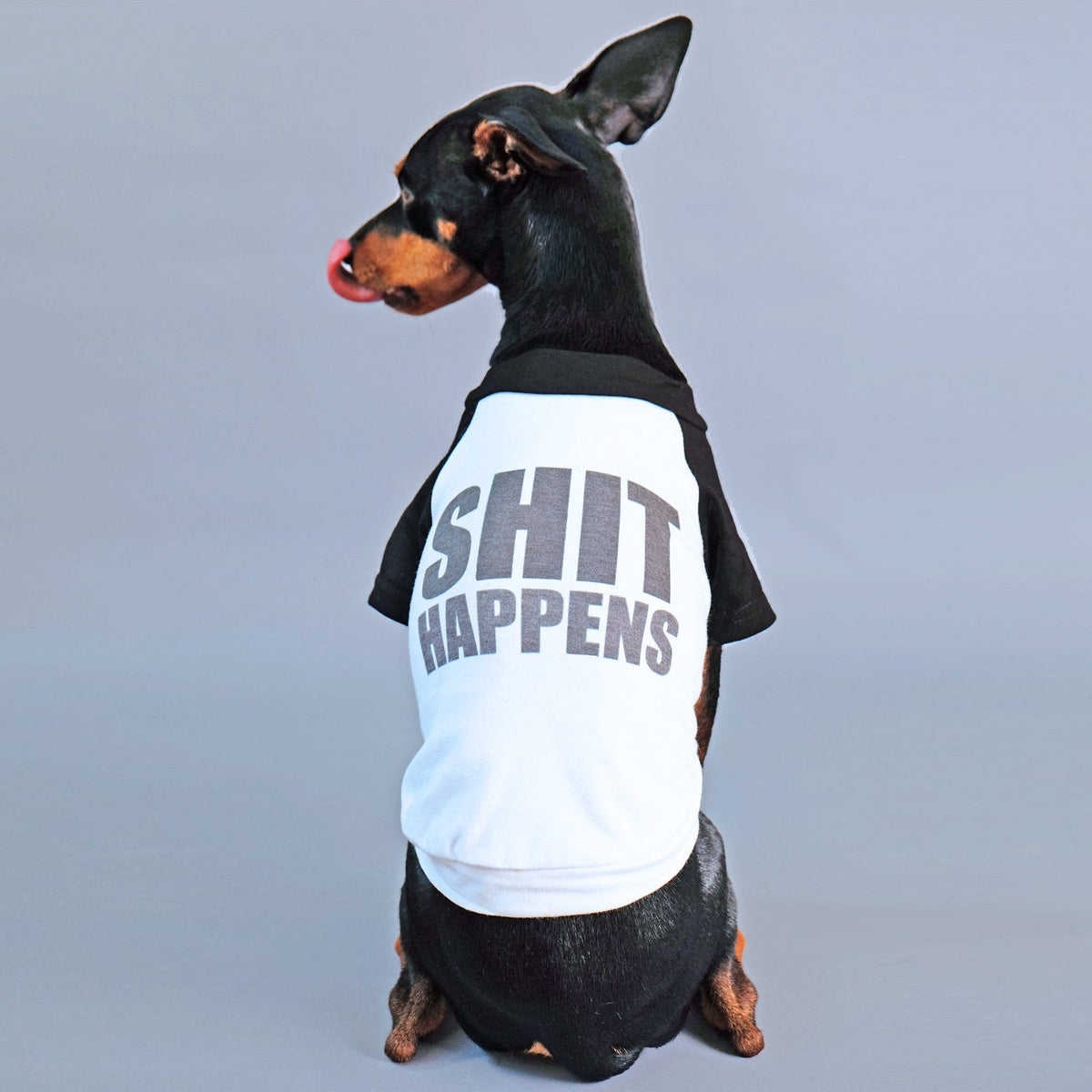 Dog tee, funny dog tee, raglan dog tee, shit happens dog tee, gift for dog, pethaus