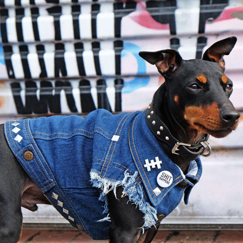 Studded Denim Dog Vest