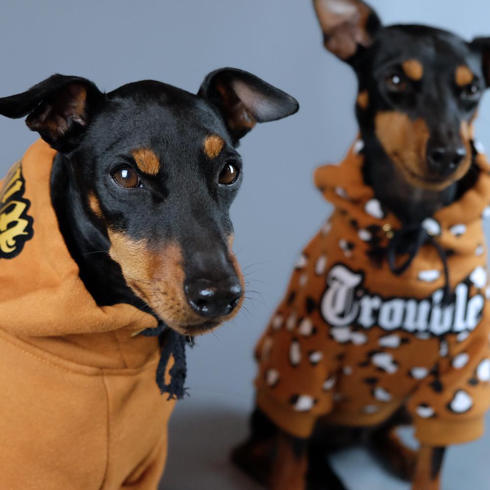 Leopard print dog hoodie, personalised dog hoodie, tan dog hoodie, Pethaus, Custom dog hoodie, dog sweatshirt, Pethaus, designer dog coat, dog coat