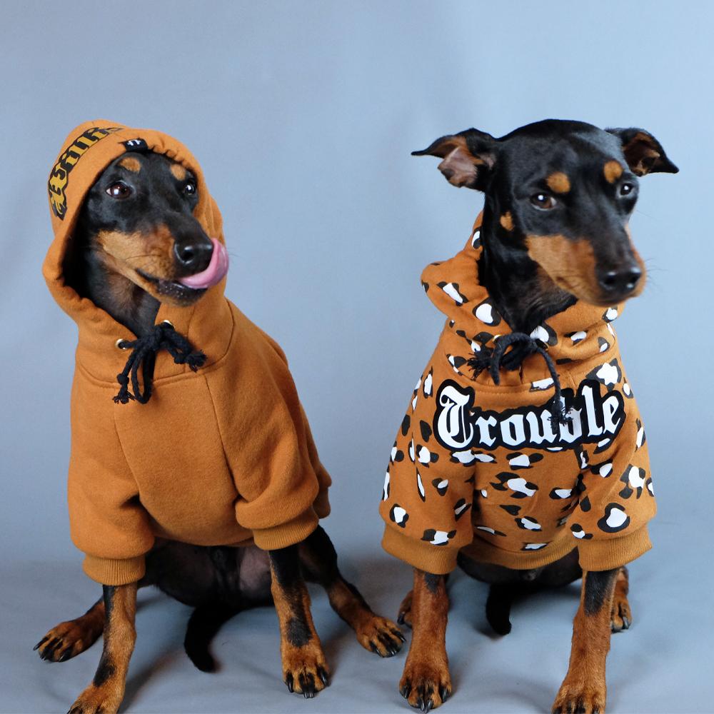 Leopard print dog hoodie, personalised dog hoodie, tan dog hoodie, Pethaus, Custom dog hoodie, dog sweatshirt, Pethaus, designer dog coat, dog coat