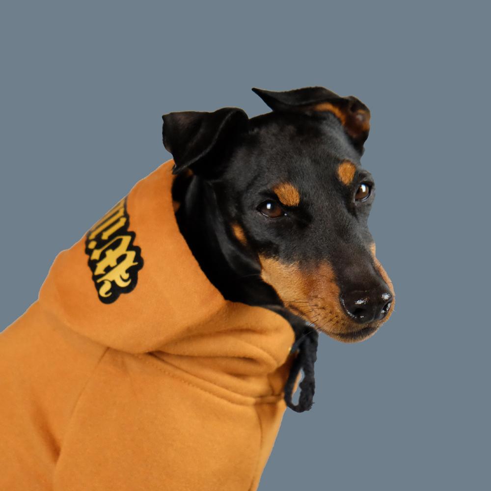 The Wild Ones Dog Hoodies - Personalised