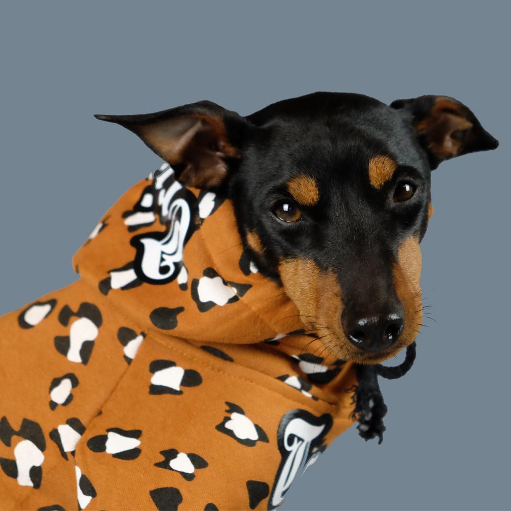 personalised dog hoodie, customised dog hoodie, personalised dog coat, tan dog hoodie, pethaus, brown dog hoodie, leopard print dog hoodie