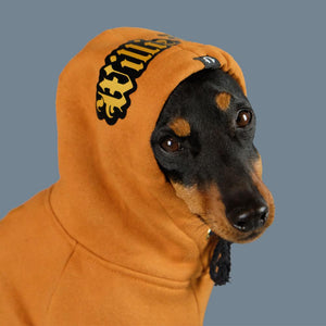 personalised dog hoodie, customised dog hoodie, personalised dog coat, tan dog hoodie, pethaus, brown dog hoodie, leopard print dog hoodie