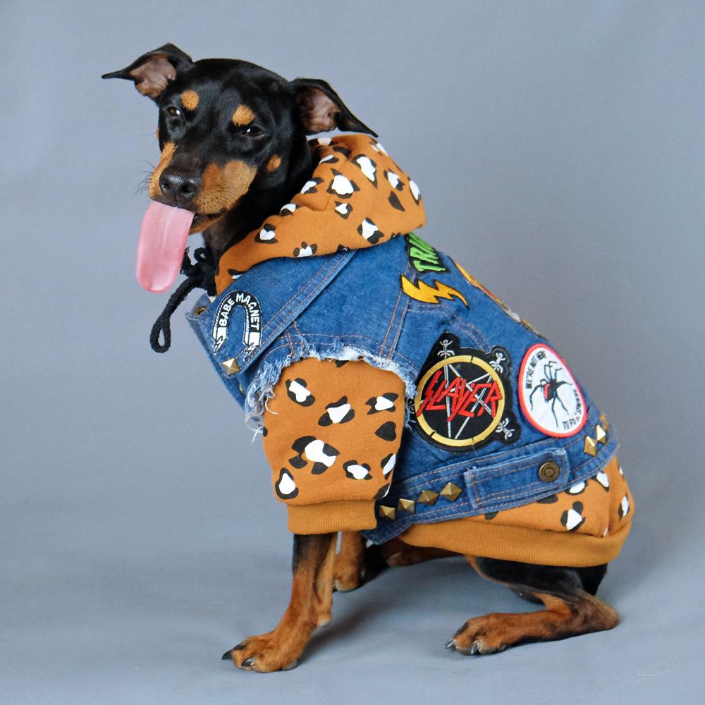 Wild Child Dog Hoodie