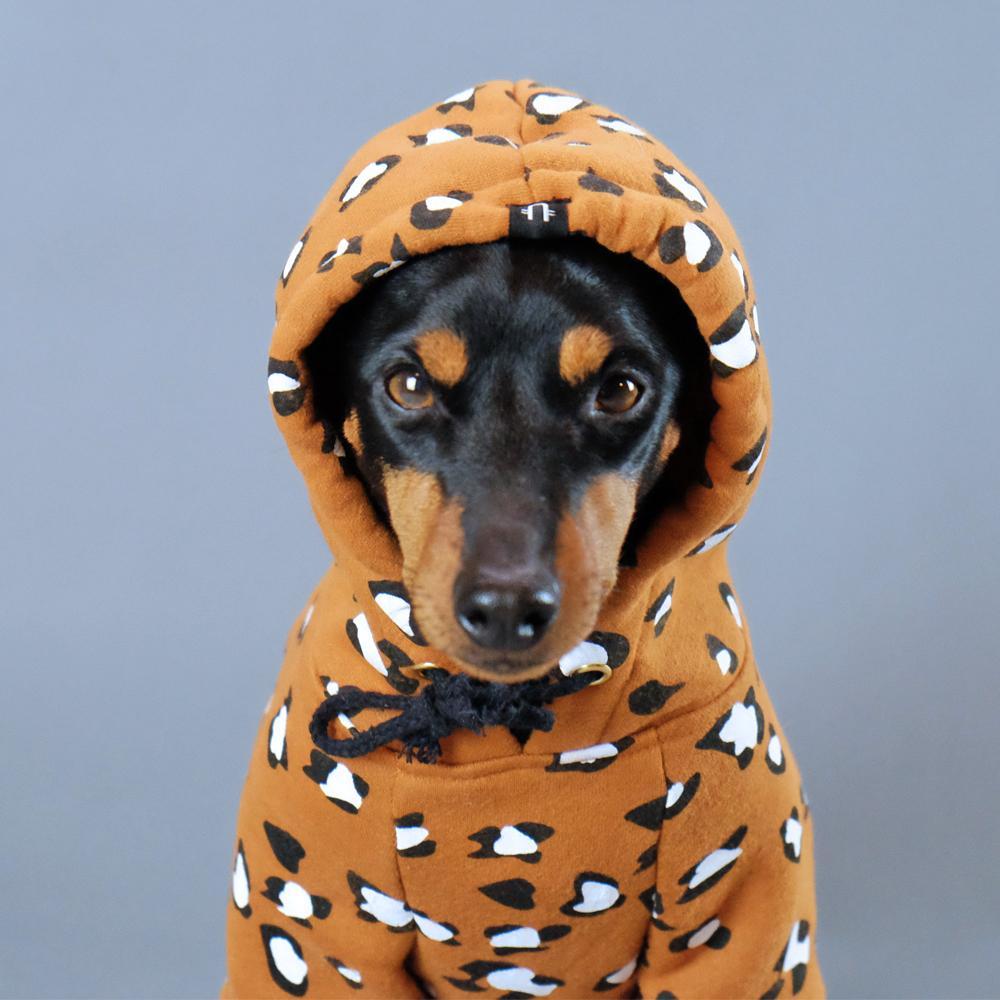 leopard print dog hoodie, leopard print dog sweatshirt, dog hoodie, pethaus, cool dog hoodie, rock dog hoodie, dog coat, australian dog hoodie
