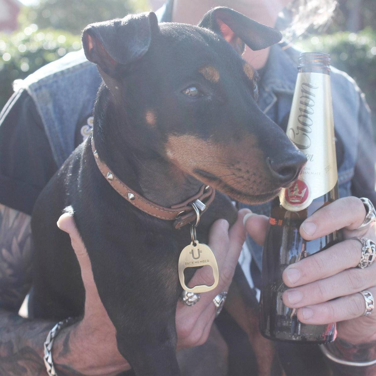 Bottle Opener Dog ID Tag 