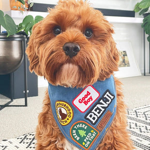 dog banadana with patches made in Australia by Pethaus denim dog bandana