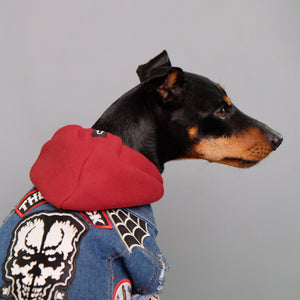 red dog hoodie and denim dog vest by Australia