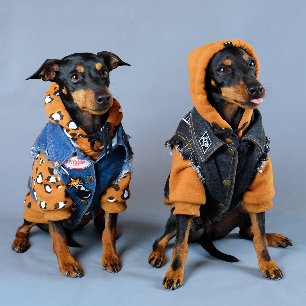 Cool dog hoodies to fit Large and small dogs by Pethaus