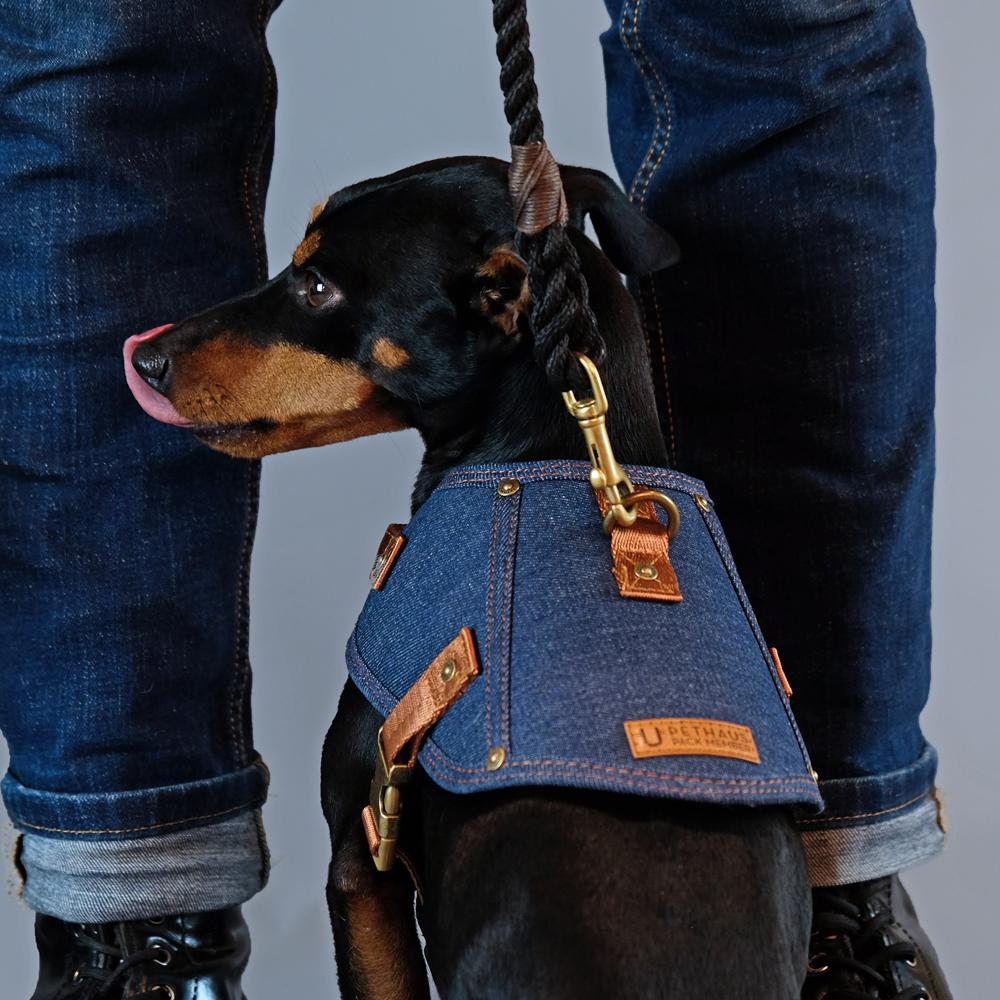 dog harness, denim dog harness, dog harness australia, no pull dog harness, easy fit dog harness, pethaus