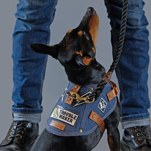 dog harness, denim dog harness, dog harness australia, no pull dog harness, easy fit dog harness, pethaus