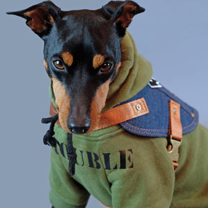 dog harness, denim dog harness, dog harness australia, no pull dog harness, easy fit dog harness, pethaus