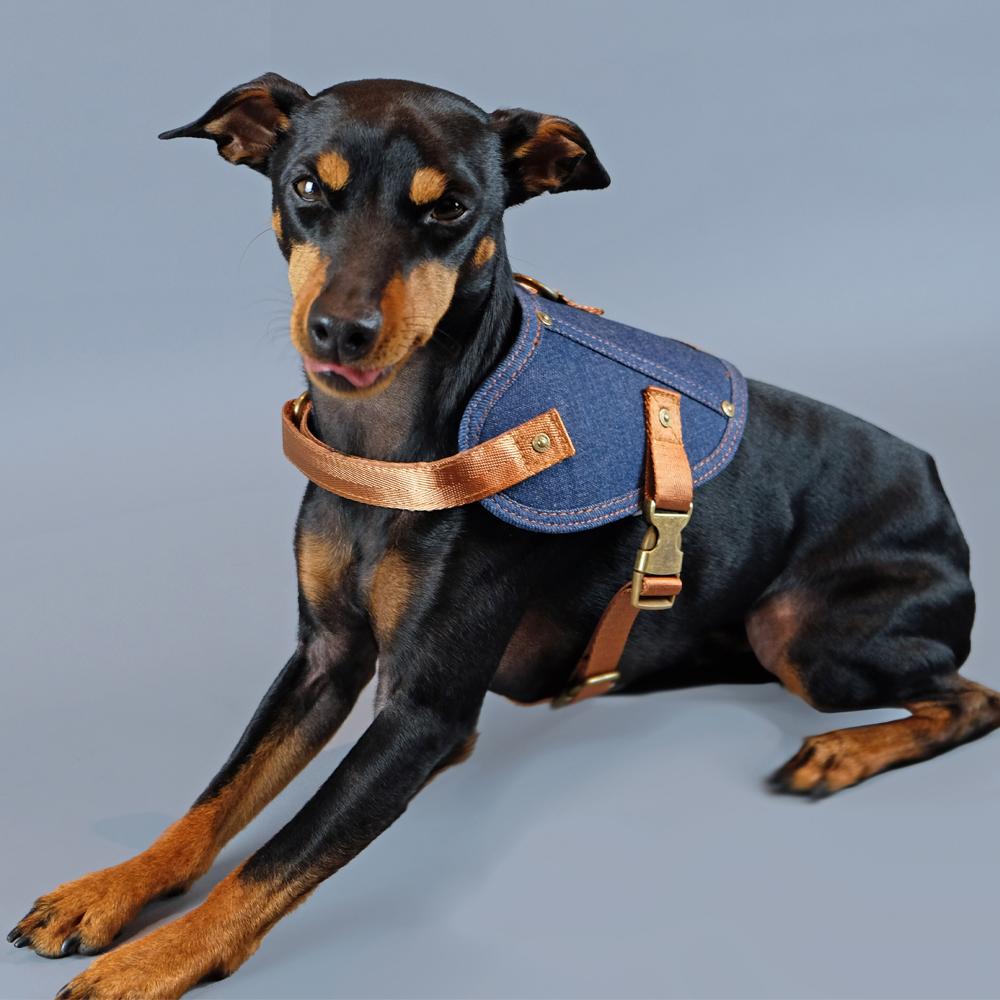 dog harness, denim dog harness, dog harness australia, no pull dog harness, easy fit dog harness, pethaus