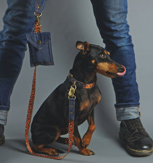 denim dog leash, denim dog lead, leopard print dog leash, designer dog leash, Australian dog leash, Pethaus, nylon webbing dog leash, cool dog leash,