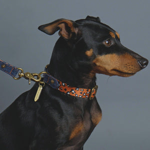 denim dog leash, denim dog lead, leopard print dog leash, designer dog leash, Australian dog leash, Pethaus, nylon webbing dog leash, cool dog leash, english toy terrier