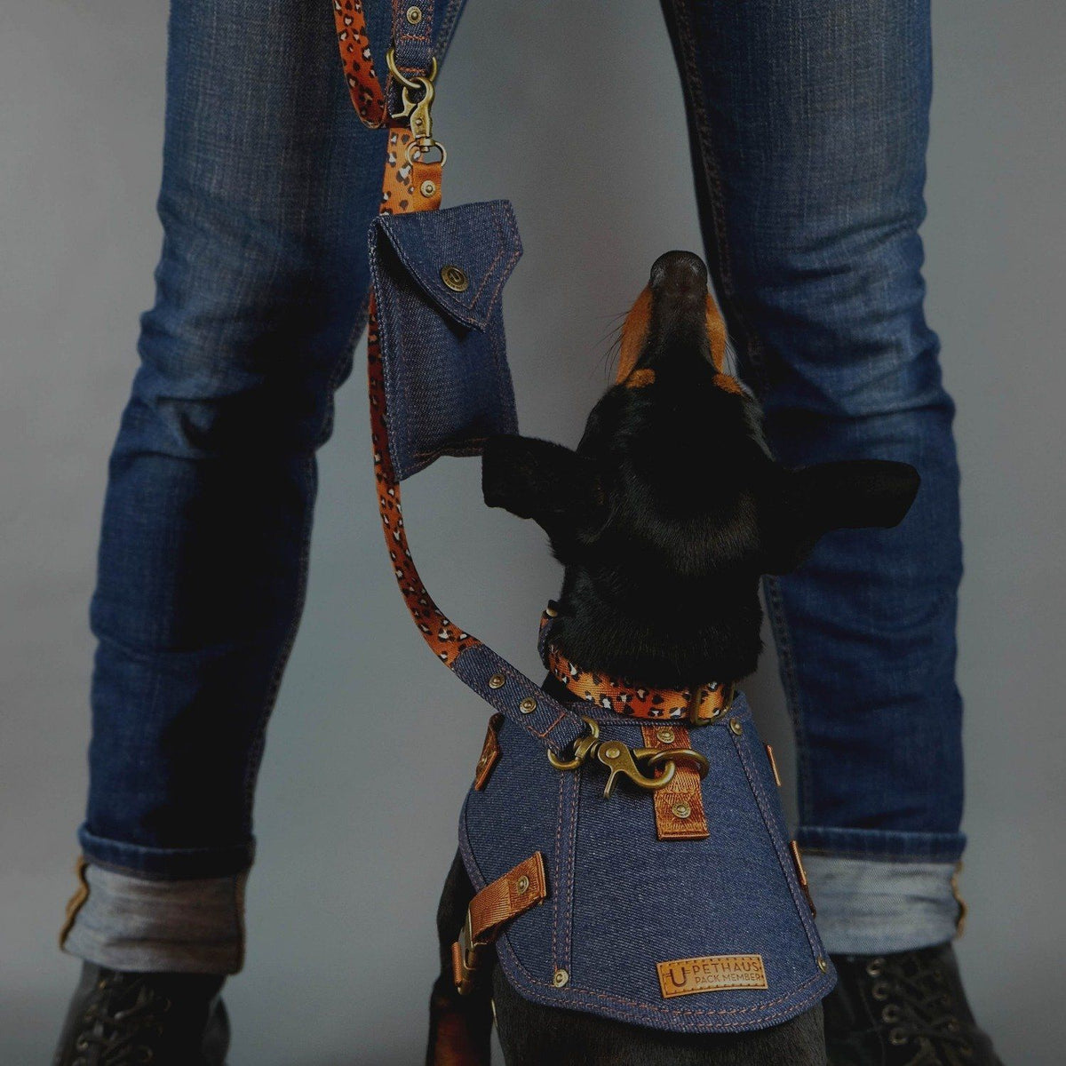 denim dog leash, denim dog lead, leopard print dog leash, designer dog leash, Australian dog leash, Pethaus, nylon webbing dog leash, cool dog leash, denim dog harness, designer dog harness, 