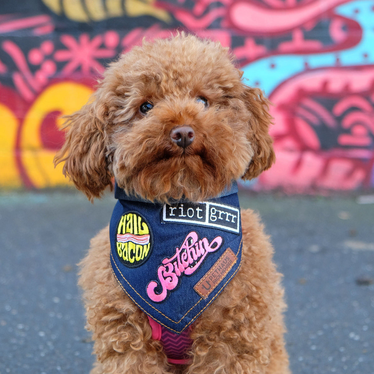 feminist patches, denim dog bandana