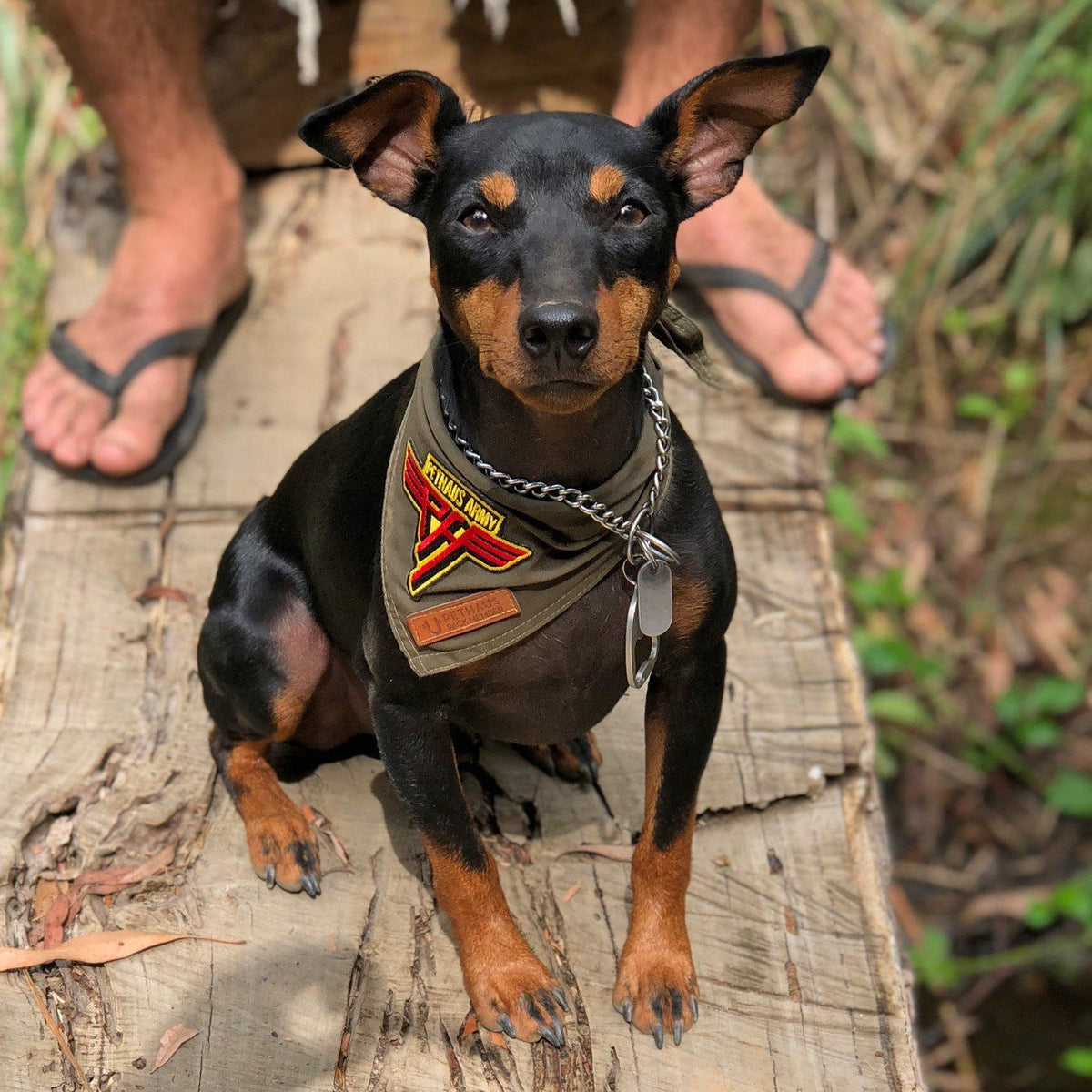 Pethaus army patch, army green dog bandana, patched dog bandana, dog patch