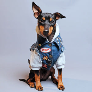 Dog denim, dog patches, dog denim vest, dog denim jacket, patches for dog